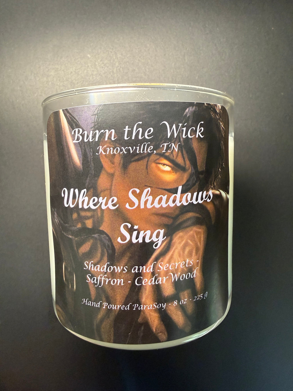 The Shadow Singer
